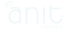 anit_logo